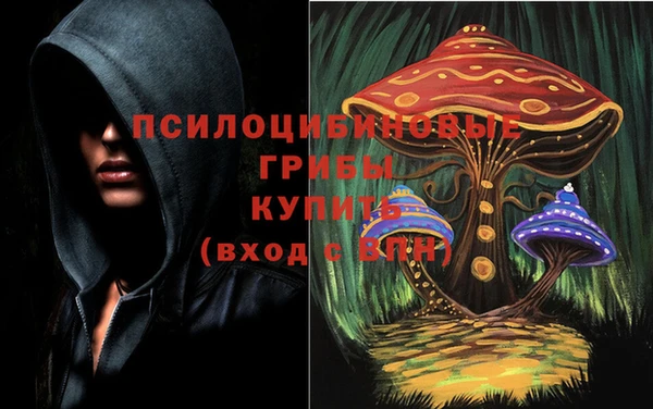 дживик Алексин