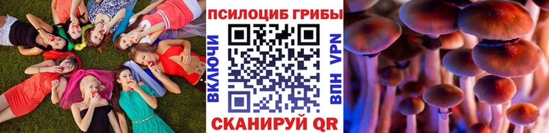 Галлюциногенные грибы мицелий  Северская 